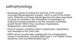 pathophysiology
• Genetically, genes encoding the subunits of the enzyme
succinate dehydrogenase complex, which is part of the Kreb's
cycle. Defective succinate dehydrogenase has been postulated
to cause an increase in the intracellular concentration of
molecular hypoxia mediators and the vascular endothelial
growth factor (VEGF) thus resulting in hyperplasia,
angiogenesis, and neoplasia.
• Chronic hypoxic conditions lead to hypertrophy, hyperplasia,
and neoplasia of the chief cells.
• CBTs can be occasionally coupled with non paraganglonic
tumors in syndromes, including MEN type II, von Hippel-Lindau
syndrome, and neurofibromatosis type 1.
 