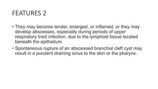 FEATURES 2
• They may become tender, enlarged, or inflamed, or they may
develop abscesses, especially during periods of upper
respiratory tract infection, due to the lymphoid tissue located
beneath the epithelium.
• Spontaneous rupture of an abscessed branchial cleft cyst may
result in a purulent draining sinus to the skin or the pharynx.
 