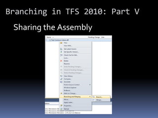 Branching in TFS 2010: Part V
 Sharing the Assembly
 