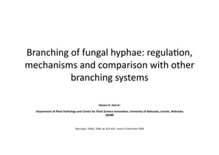 Branching of fungal hyphae: regula2on, 
mechanisms and comparison with other 
          branching systems                                                                      




                                                   Steven D. Harris1 

  Department of Plant Pathology and Center for Plant Science Innova<on, University of Nebraska, Lincoln, Nebraska 
                                                      68588 



                               Mycologia, 100(6), 2008, pp. 823–832. Issued 23 December 2008 
 