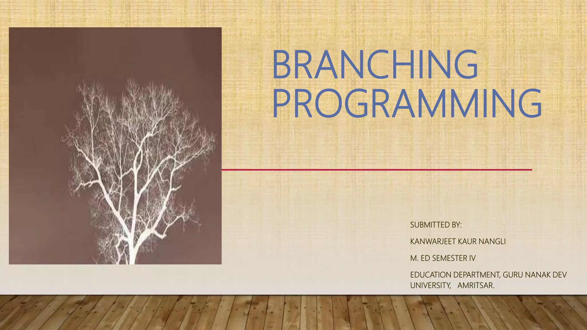 Branching programming with frames | PPTX