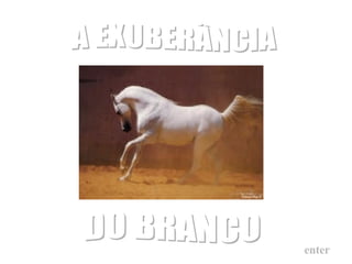 A EXUBERÂNCIA enter DO BRANCO 