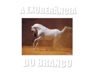 A EXUBERÂNCIA DO BRANCO 