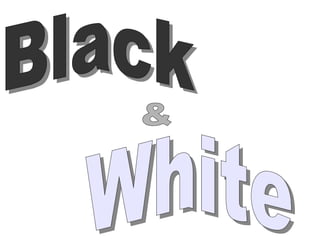 White Black &  