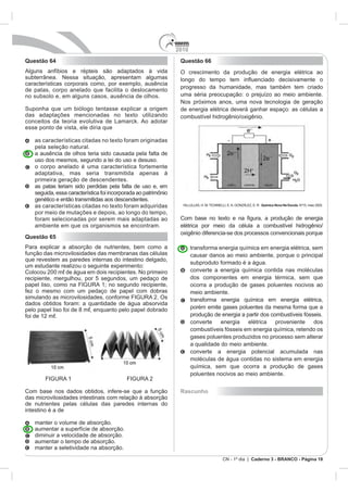 2010
Caderno 3 - BRANCO - Página 18
Questão 64
Questão 65
intestino é a de
Questão 66
Química Nova Na Escola. o
Rascunho
 