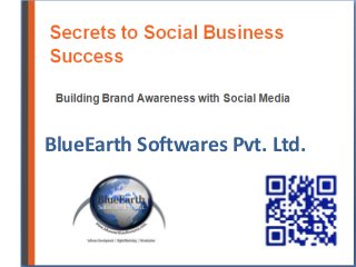 BlueEarth Softwares Pvt. Ltd.
 