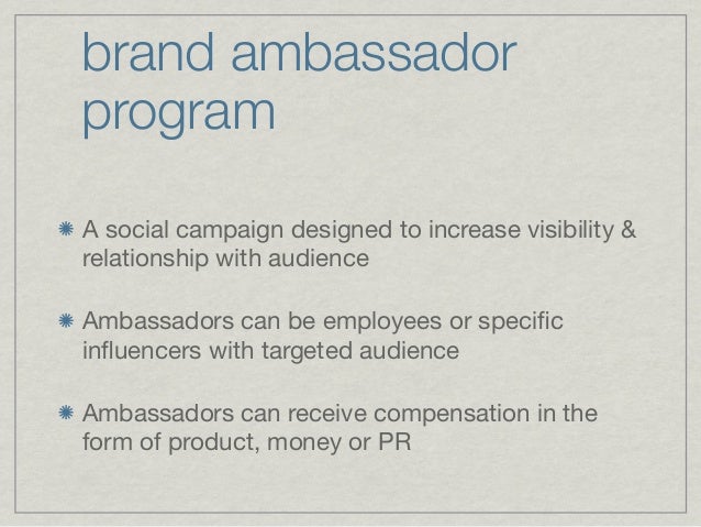 Brand Ambassador Program Blueprint By Britt Michaelian
