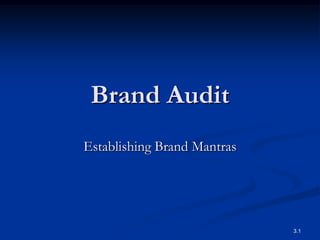 Brand Audit
Establishing Brand Mantras




                             3.1
 