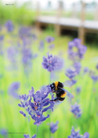 Manutan: samen naar een nieuwe horizon