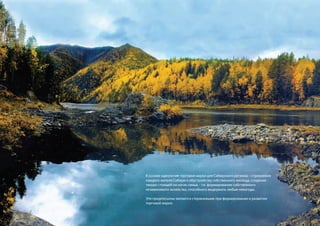 В основе идеологии торговой марки для Сибирского региона – стремление
     каждого жителя Cибири к обустройству собственного жилища, создания
     твердо стоящей на ногах семьи, - т.е. формирование cобственного
     независимого хозяйства, способного выдержать любые невзгоды.

     Эти предпосылки являются стержневыми при формировании и развитии
     торговой марки.
14                                                             Торговая марка «КРЕПКОЕ ХОЗЯЙСТВО»
 