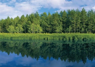 4   Торговая марка «КРЕПКОЕ ХОЗЯЙСТВО»
 