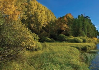 40   Торговая марка «КРЕПКОЕ ХОЗЯЙСТВО»
 