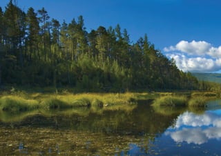 54   Торговая марка «КРЕПКОЕ ХОЗЯЙСТВО»
 