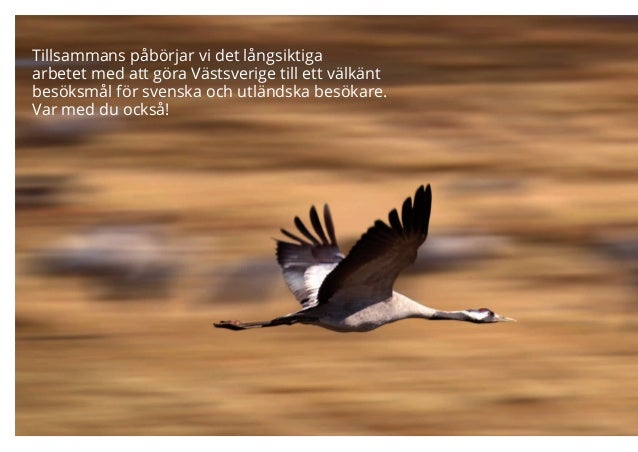 västsverige västsverige