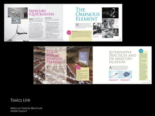 Toxics LinkToxics Link
Mercury Toxicity Brochure
Inside Layout
 