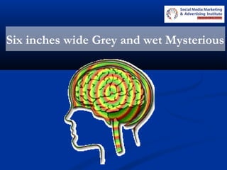 Six inches wide Grey and wet Mysterious
 