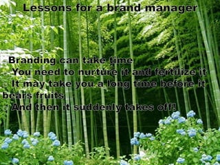 Brand Building and the Chinese Bamboo Tree