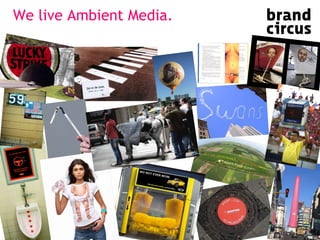We live Ambient   Media. 