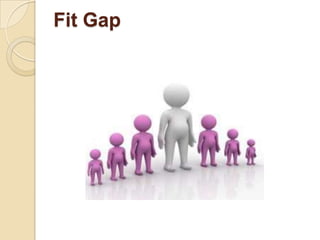 Fit Gap
 