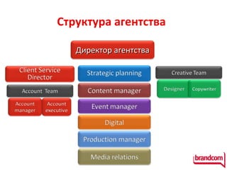 C труктура агентства  Директор агентства 