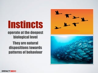 Instincts 
operate at the deepest 
biological level 
They are natural 
dispositions towards 
patterns of behaviour 
 