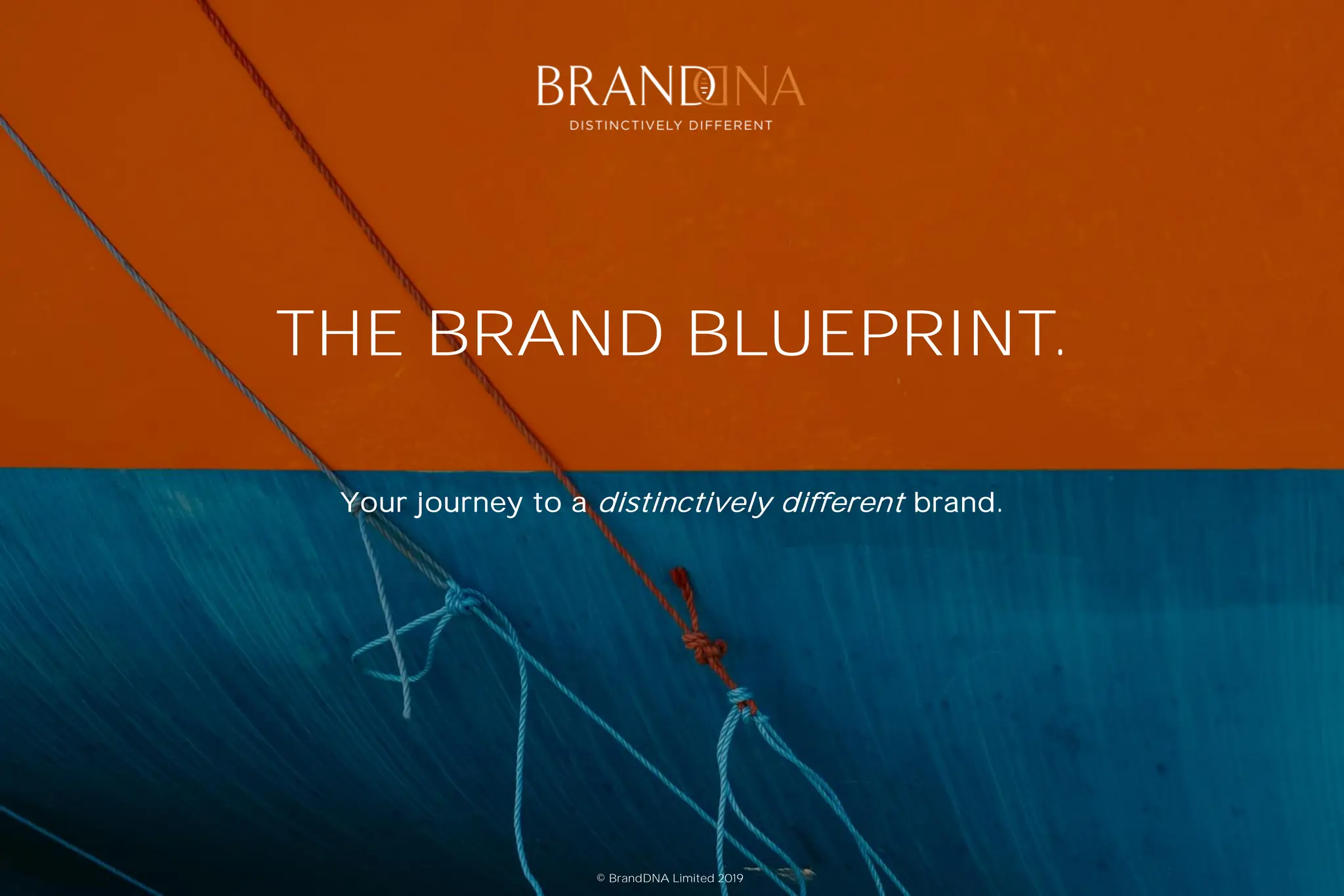 BrandDNA+The+Brand+Blueprint-branding.pdf