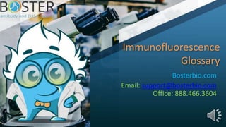 Immunofluorescence
Glossary
Bosterbio.com
Email: support@bosterbio.com
Office: 888.466.3604
 