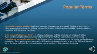 Popular Terms
• Immunofluorescence blocking- Blocking is essential for preventing non-specific binding of antibodies or
other reagents to the tissue. To mitigate nonspecific binding, a blocking step should be carried out before
incubation with the primary antibody.
• Cyclic Immunofluorescence (CycIF) - Is a highly multiplexed method for single cell imaging. It allows
fluorescent imaging to different number of proteins/signals that can be simultaneously measured.
• Colocalization Immunofluorescence - Colocalization refers to the observation of the spatial overlap between
two distinct fluorescent markers, each with a different emission wavelength, to see if the different "targets"
are in the same region of the cell or very close to one another in fluorescence microscopy.
 