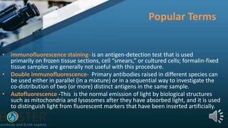 Popular Terms
• immunofluorescence staining- is an antigen-detection test that is used
primarily on frozen tissue sections, cell “smears,” or cultured cells; formalin-fixed
tissue samples are generally not useful with this procedure.
• Double immunofluorescence- Primary antibodies raised in different species can
be used either in parallel (in a mixture) or in a sequential way to investigate the
co-distribution of two (or more) distinct antigens in the same sample.
• Autofluorescence -This is the normal emission of light by biological structures
such as mitochondria and lysosomes after they have absorbed light, and it is used
to distinguish light from fluorescent markers that have been inserted artificially.
 