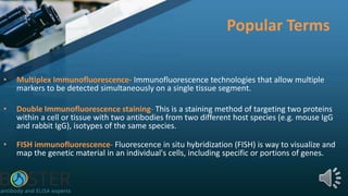 Popular Terms
• Multiplex Immunofluorescence- Immunofluorescence technologies that allow multiple
markers to be detected simultaneously on a single tissue segment.
• Double Immunofluorescence staining- This is a staining method of targeting two proteins
within a cell or tissue with two antibodies from two different host species (e.g. mouse IgG
and rabbit IgG), isotypes of the same species.
• FISH immunofluorescence- Fluorescence in situ hybridization (FISH) is way to visualize and
map the genetic material in an individual's cells, including specific or portions of genes.
 