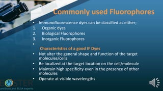 Commonly used Fluorophores
• Immunofluorescence dyes can be classified as either;
1. Organic dyes
2. Biological Fluorophores
3. Inorganic Fluorophores
•
Characteristics of a good IF Dyes
• Not alter the general shape and function of the target
molecules/cells
• Be localized at the target location on the cell/molecule
• Maintain high specificity even in the presence of other
molecules
• Operate at visible wavelengths
 