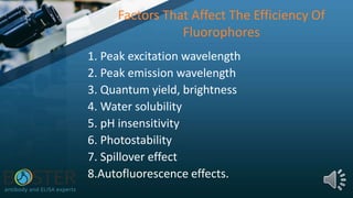 Factors That Affect The Efficiency Of
Fluorophores
1. Peak excitation wavelength
2. Peak emission wavelength
3. Quantum yield, brightness
4. Water solubility
5. pH insensitivity
6. Photostability
7. Spillover effect
8.Autofluorescence effects.
 