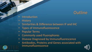 Outline
• Introduction
• History
• Similarities & Difference between IF and IHC
• Types of Immunofluorescence
• Popular Terms
• Commonly used Fluorophores
• Disease Diagnosed by Immunofluorescence
• Antibodies, Proteins and Genes associated with
Immunofluorescence
 