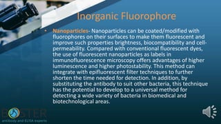 Inorganic Fluorophore
• Nanoparticles- Nanoparticles can be coated/modified with
fluorophores on their surfaces to make them fluorescent and
improve such properties brightness, biocompatibility and cell-
permeability. Compared with conventional fluorescent dyes,
the use of fluorescent nanoparticles as labels in
immunofluorescence microscopy offers advantages of higher
luminescence and higher photostability. This method can
integrate with epifluorescent filter techniques to further
shorten the time needed for detection. In addition, by
substituting the antibody to suit other bacteria, this technique
has the potential to develop to a universal method for
detecting a wide variety of bacteria in biomedical and
biotechnological areas.
 