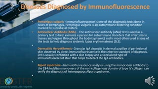 Diseases Diagnosed by Immunofluorescence
• Pemphigus vulgaris - Immunofluorescence is one of the diagnostic tests done in
cases of pemphigus. Pemphigus vulgaris is an autoimmune blistering condition
marked by suprabasal blisters.
• Antinuclear Antibody (ANA) - The antinuclear antibody (ANA) test is used as a
primary test to help evaluate a person for autoimmune disorders that affect many
tissues and organs throughout the body (systemic) and is most often used as one of
the tests to help diagnose systemic lupus erythematosus (SLE).
•
Dermatitis Herpetiformis- Granular IgA deposits in dermal papillae of perilesional
skin observed by direct immunofluorescence is the criterion standard of diagnosis.
DH is usually confirmed with a skin biopsy and a specialized type of
immunofluorescent stain that helps to detect the IgA antibodies.
•
Alport syndrome - Immunofluorescence analysis using the monoclonal antibody to
the 28-kilodalton monomers of the non collagenous domain of type IV collagen can
verify the diagnosis of heterozygous Alport syndrome.
•
 