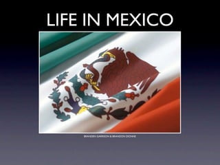 LIFE IN MEXICO




    BRANDEN GARRISON & BRANDON DIONNE
 
