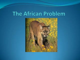 The African Problem 
