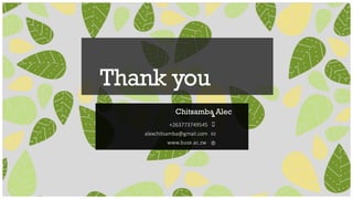 Thank you
Chitsamba Alec
+263773749545
alexchitsamba@gmail.com
www.buse.ac.zw
 