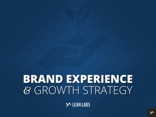 Brand Experience & Growth Strategy