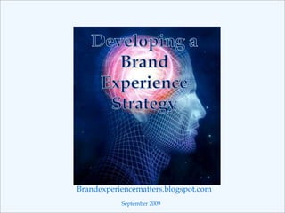 Developing a  Brand Experience Strategy Brandexperiencematters.blogspot.com September 2009 