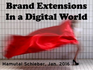 Hamutal Schieber, Jan. 2016
Brand Extenstion
 