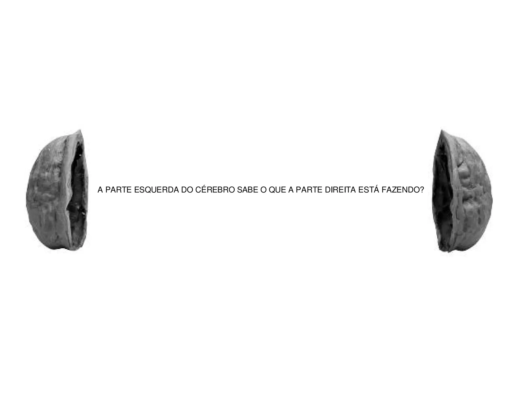 O Abismo da Marca - Brand Gap