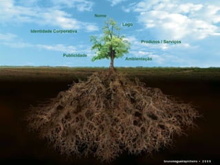 bruno nogueira pinheiro   •  2 0 0 9 