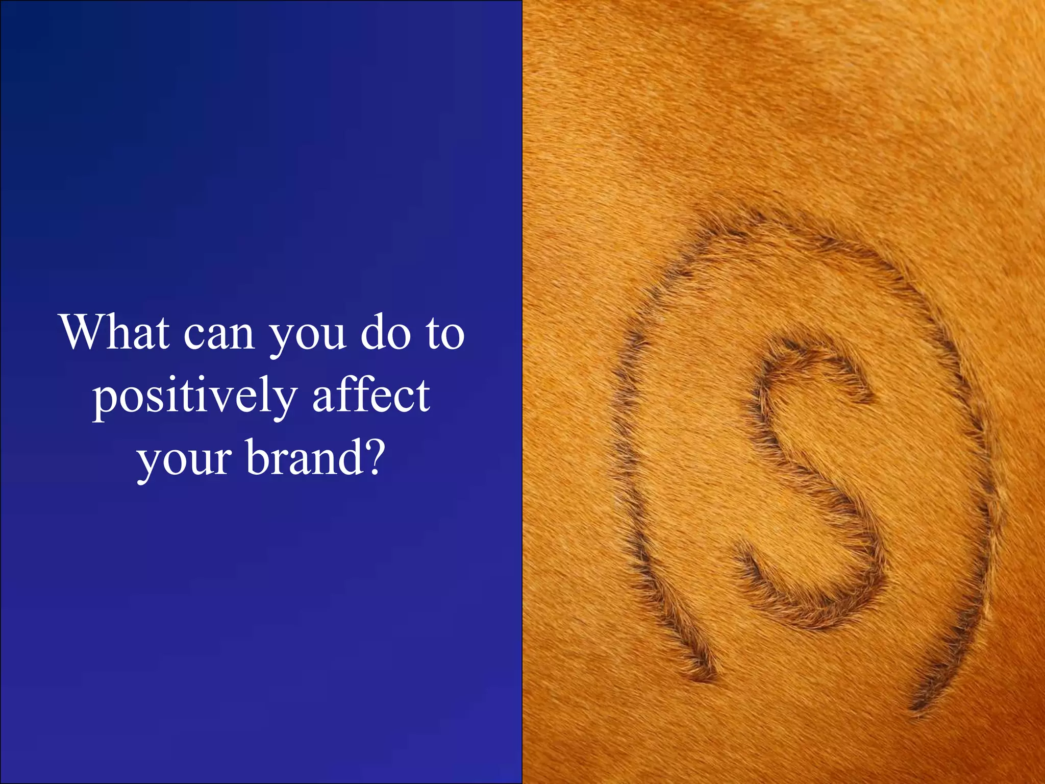 What can you do to
positively affect
your brand?
 