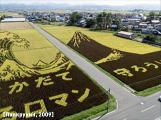 [Панкрухин, 2009]
 