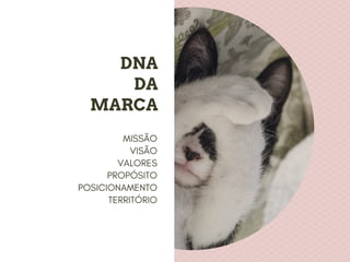 DNA
DA
MARCA
MISSÃO
VISÃO
VALORES
PROPÓSITO
POSICIONAMENTO
TERRITÓRIO
 