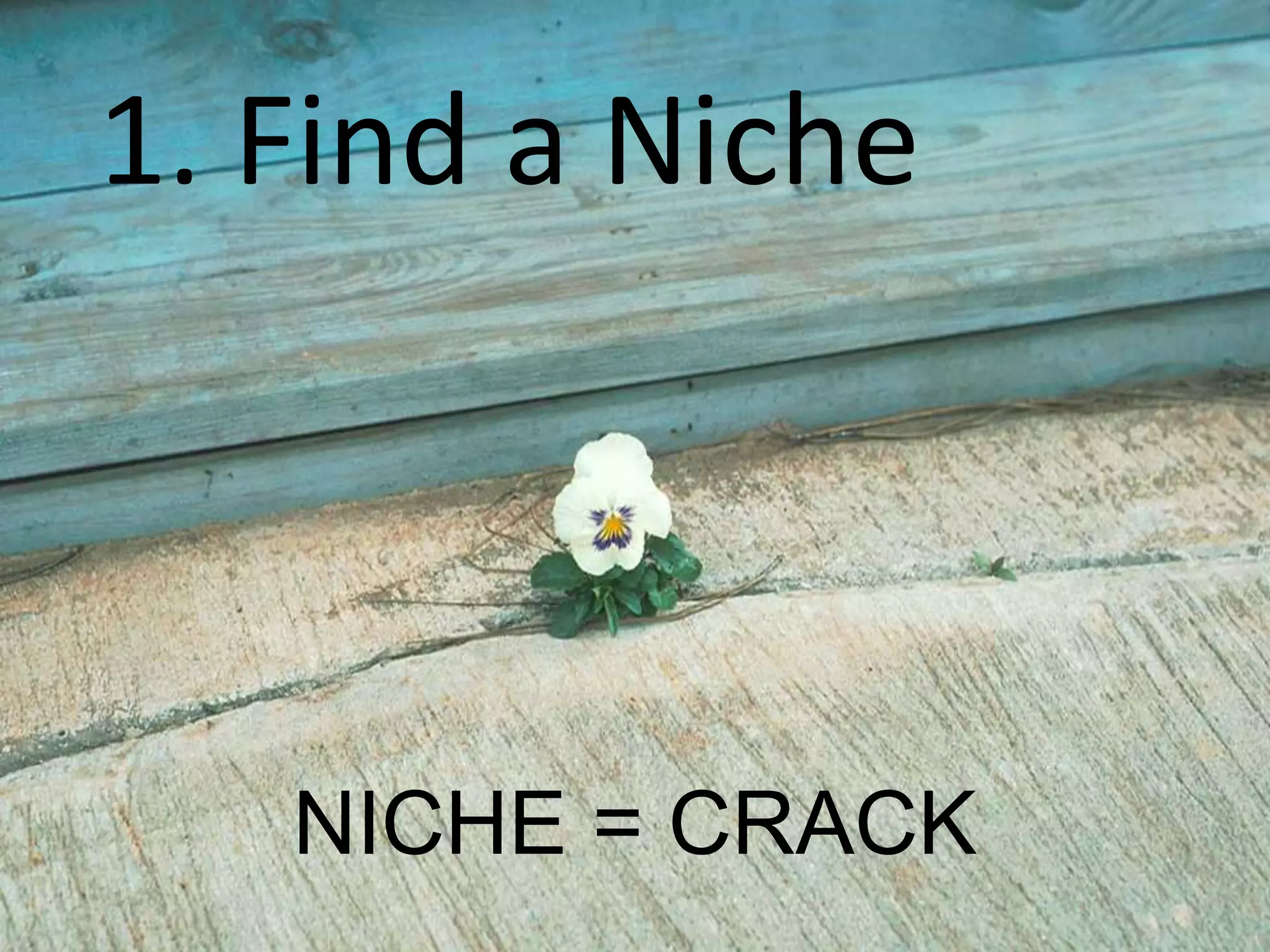 NICHE = CRACK
1. Find a Niche
 