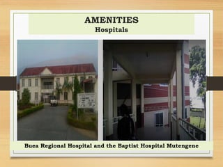 AMENITIES
Hospitals
Buea Regional Hospital and the Baptist Hospital Mutengene
 