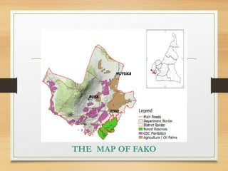 BUILT ENVIRONMENT
THE MAP OF FAKO
 