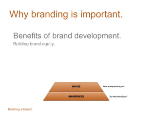 Why branding is important.
Benefits of brand development.
Building brand equity.
Building a brand.